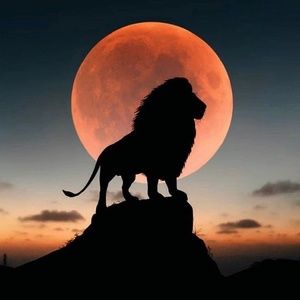 Meet your Posher, JosÃ© luis